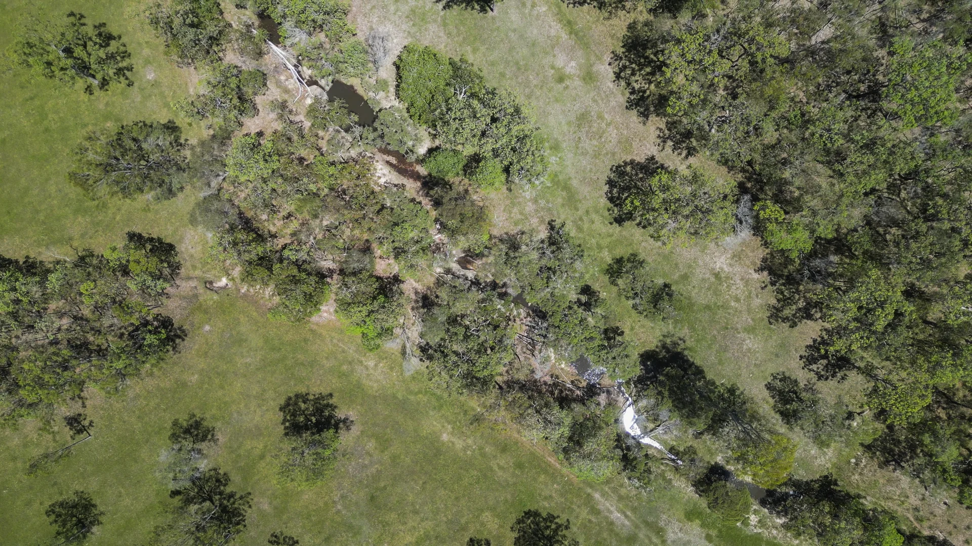 Additional image 29 of 172 Meyers Road, Ramornie NSW 2460