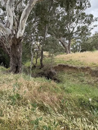 Additional image 2 of Kimo Street, Nangus NSW 2722