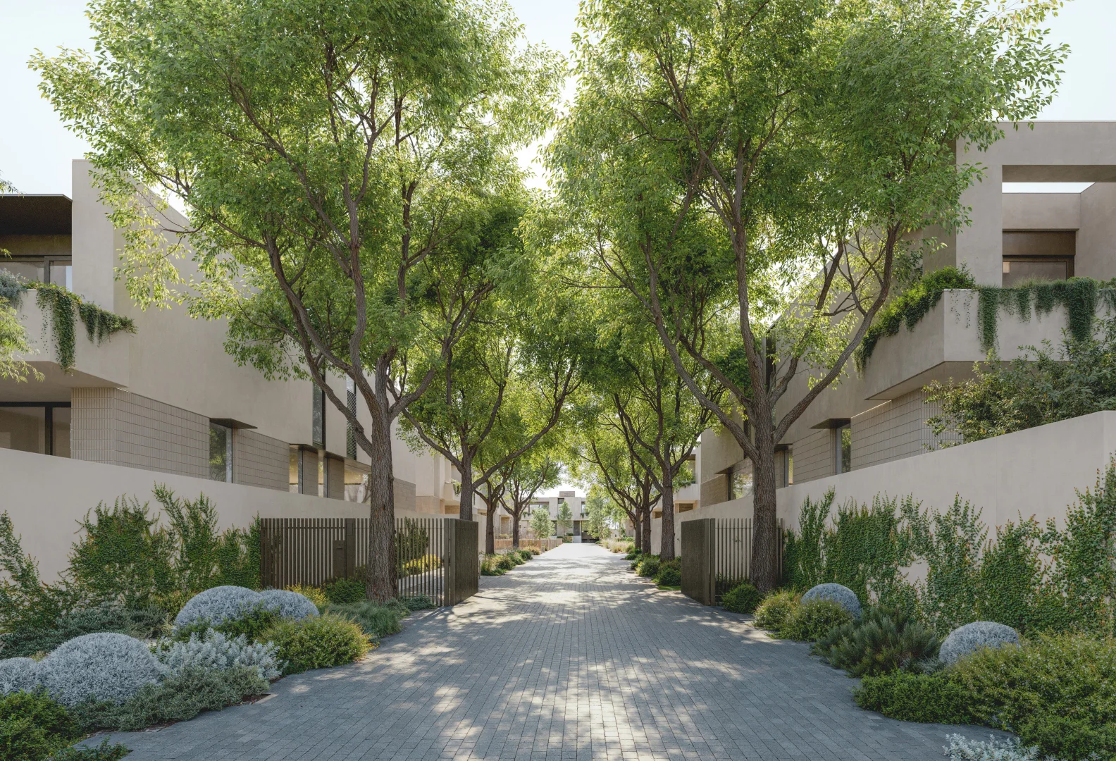 Additional image 6 of 17 HARTLEY STREET, Brighton VIC 3186