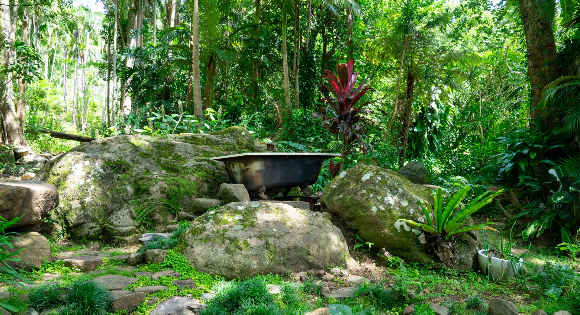 Additional image 23 of 771 Left Bank Road, Mullumbimby Creek NSW 2482