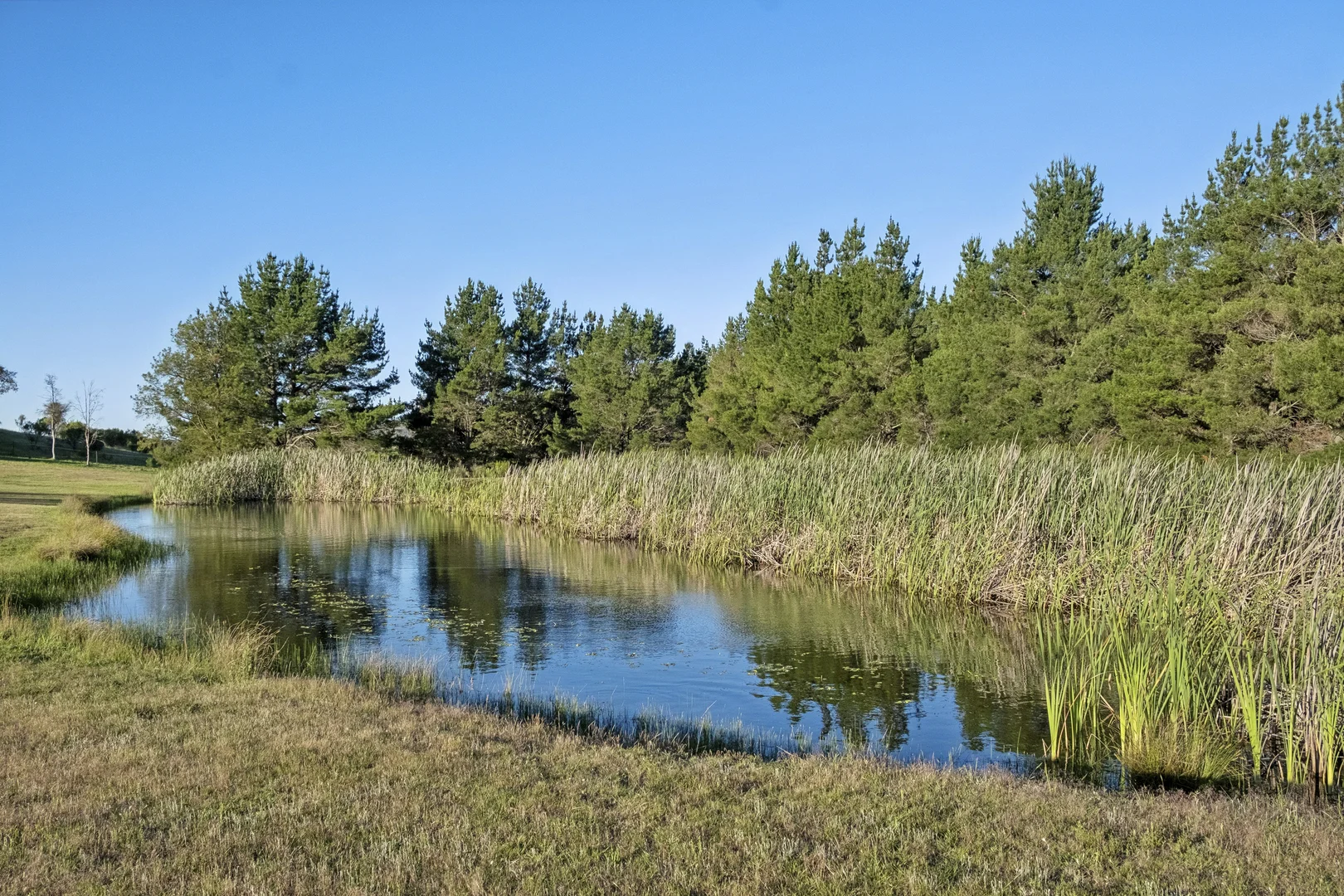 Additional image 34 of 107 Bingley Way, Wamboin NSW 2620