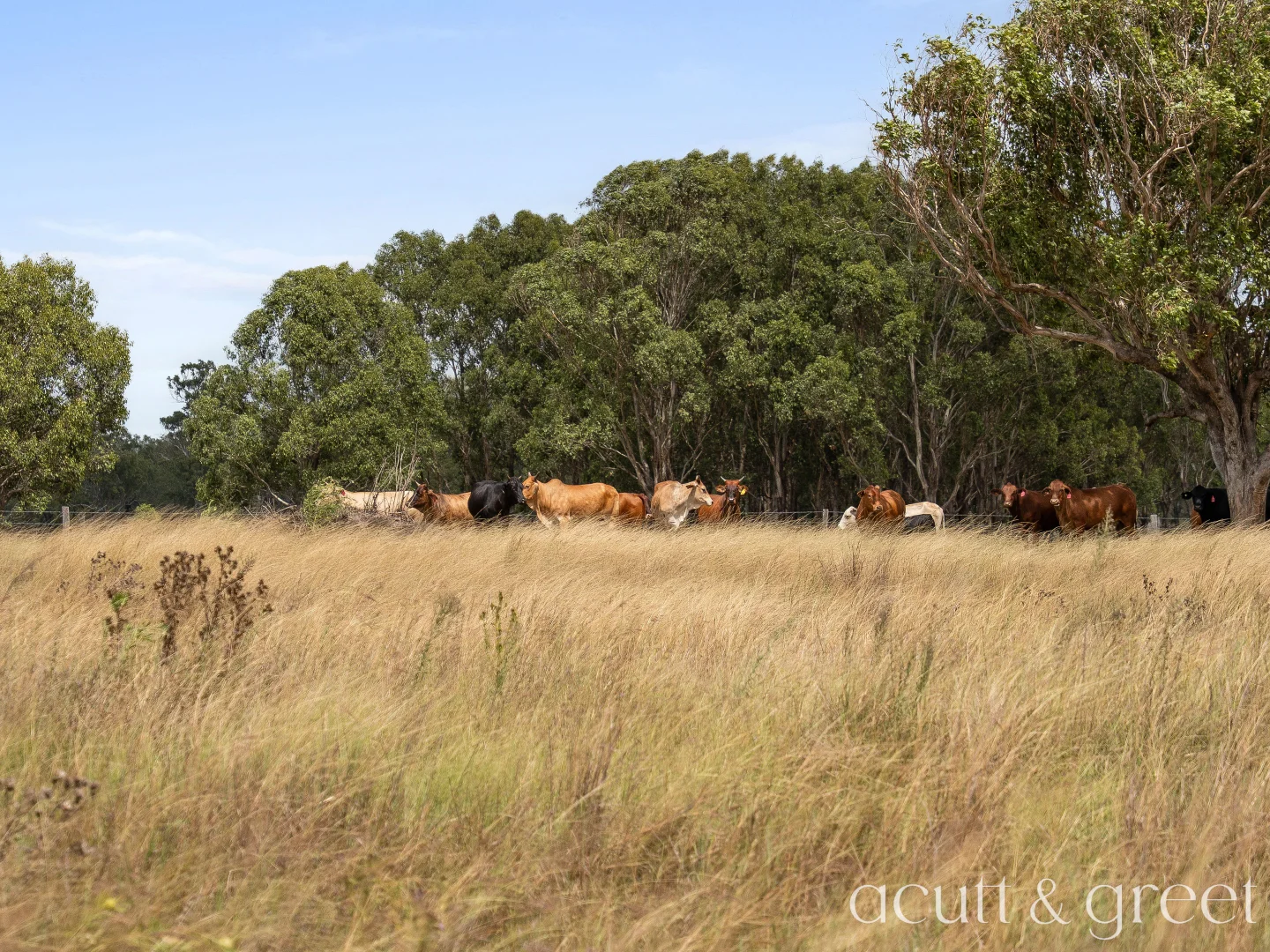 Additional image 22 of 130 Tuites Lane, Biarra QLD 4313
