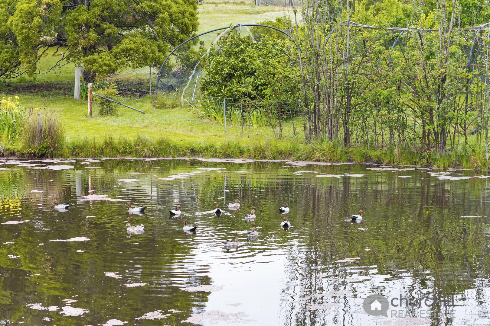 Additional image 33 of 20 Wisbys Road, North Bruny TAS 7150