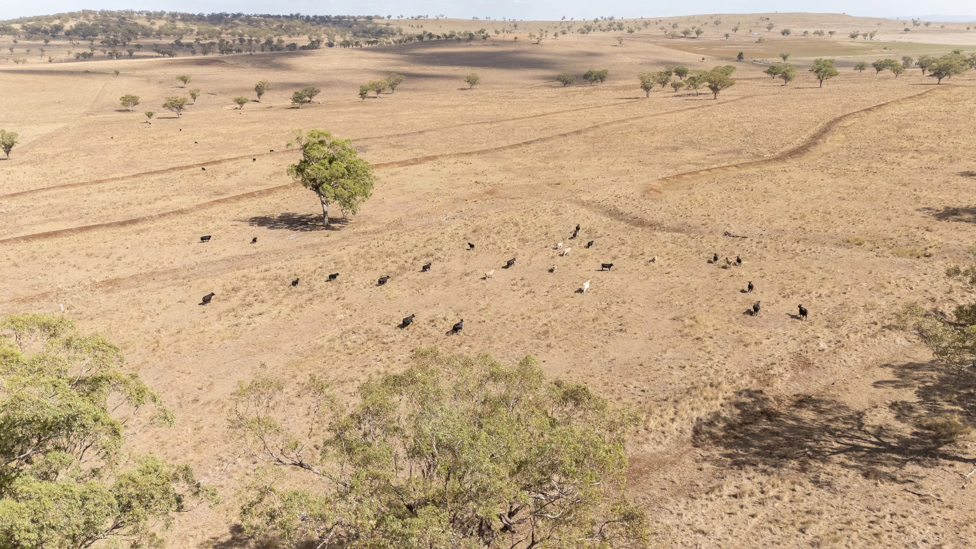 Additional image 8 of 'Windermere' 5518 Golden Highway, Merriwa NSW 2329