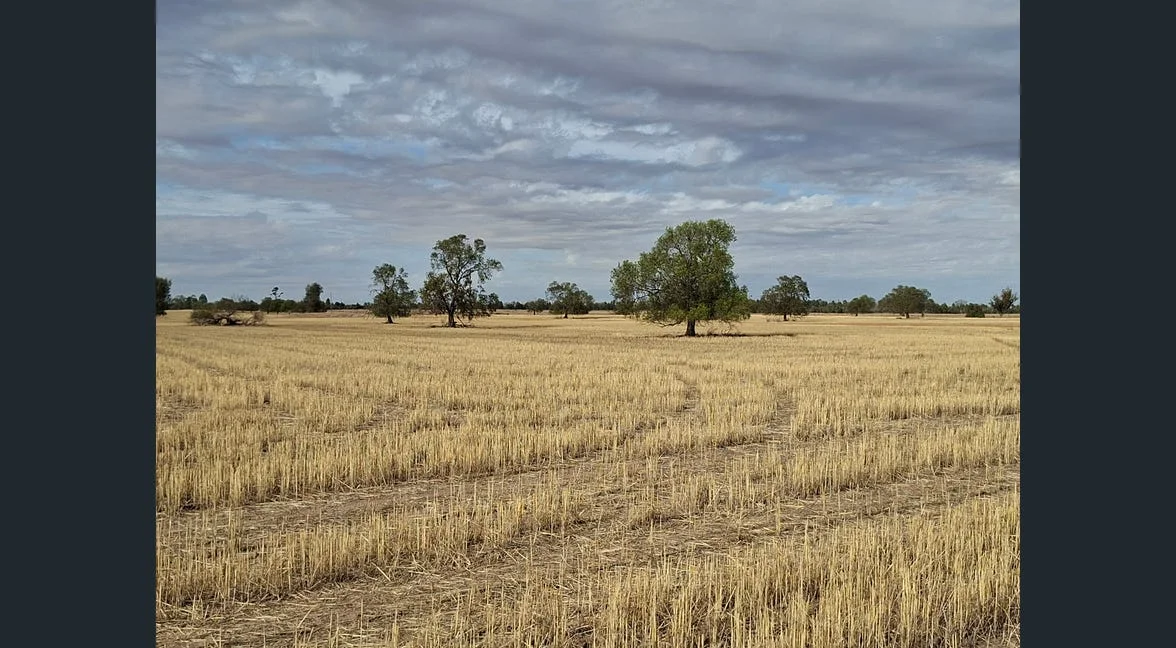Additional image 35 of Alloway, Gilgandra NSW 2827