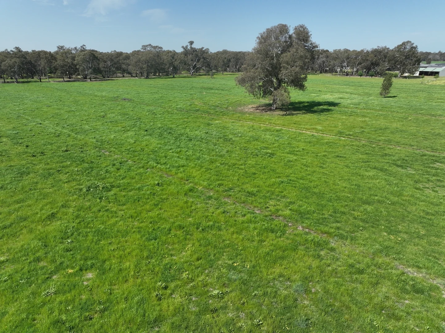 Additional image 7 of 40 Brooke Court, Numurkah VIC 3636