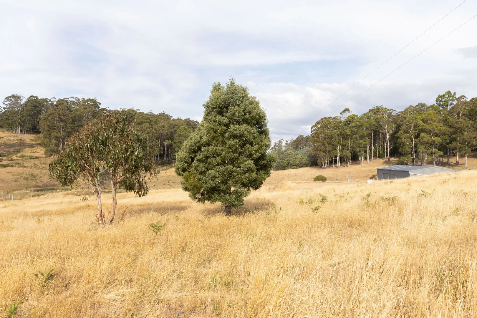 Additional image 8 of 121 Davis Road, Deloraine TAS 7304