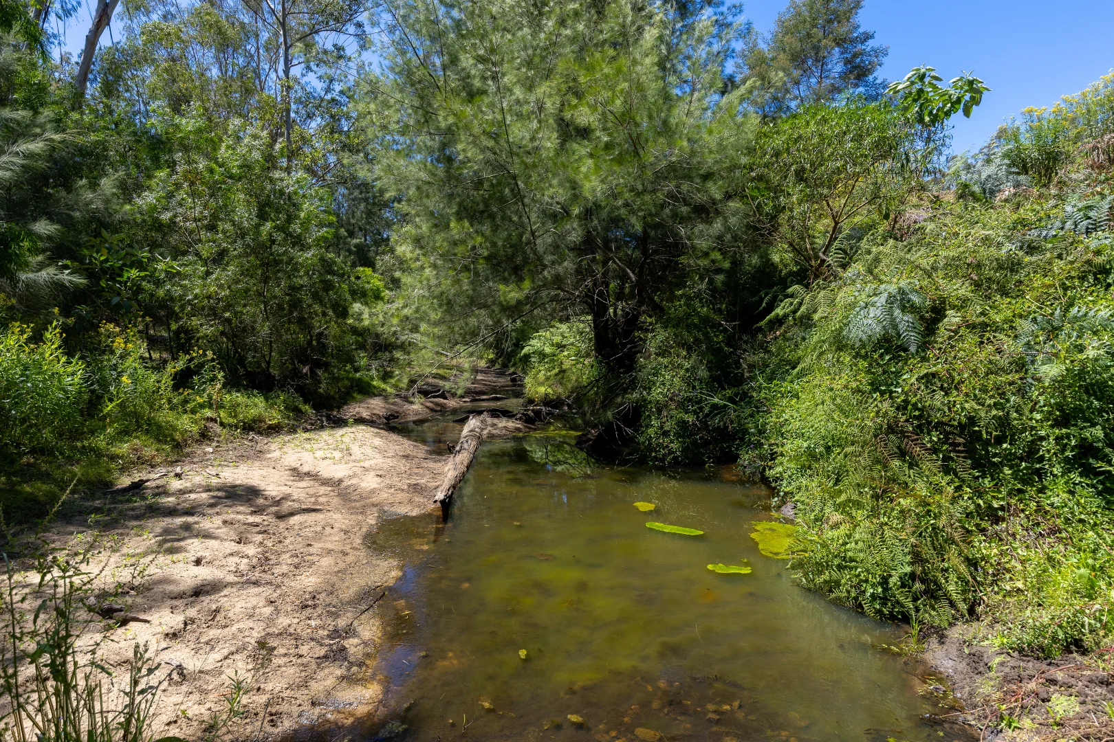 Additional image 24 of 336 Westrops Road, Coolagolite NSW 2550