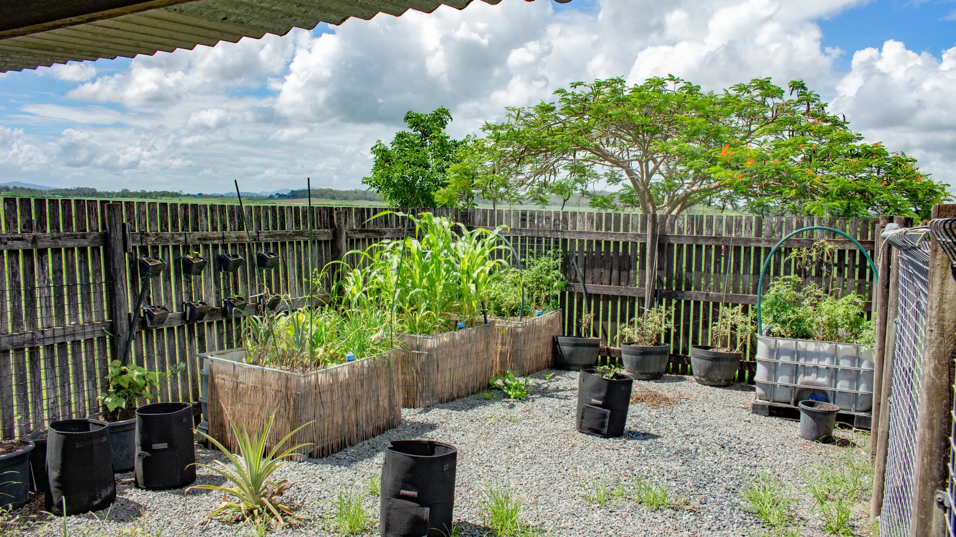 Additional image 21 of 290 Bells Road, Palmyra QLD 4751