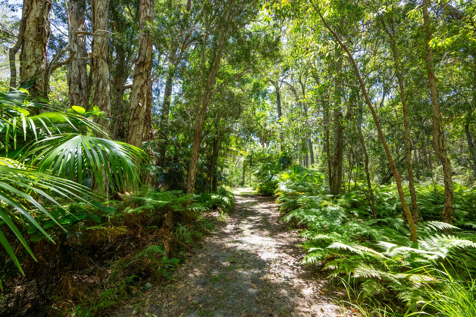 Additional image 23 of 2536 Solitary Islands Way, Arrawarra NSW 2456