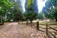 Additional image 37 of Winchester Road, Ampfield, Hampshire
