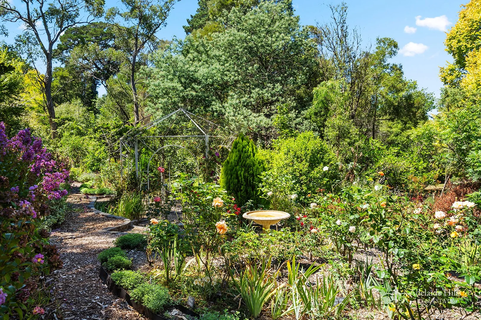 Additional image 24 of 6 Bracken Road, Stirling SA 5152