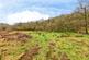 Additional image 38 of Penybont, Carmarthenshire SA33