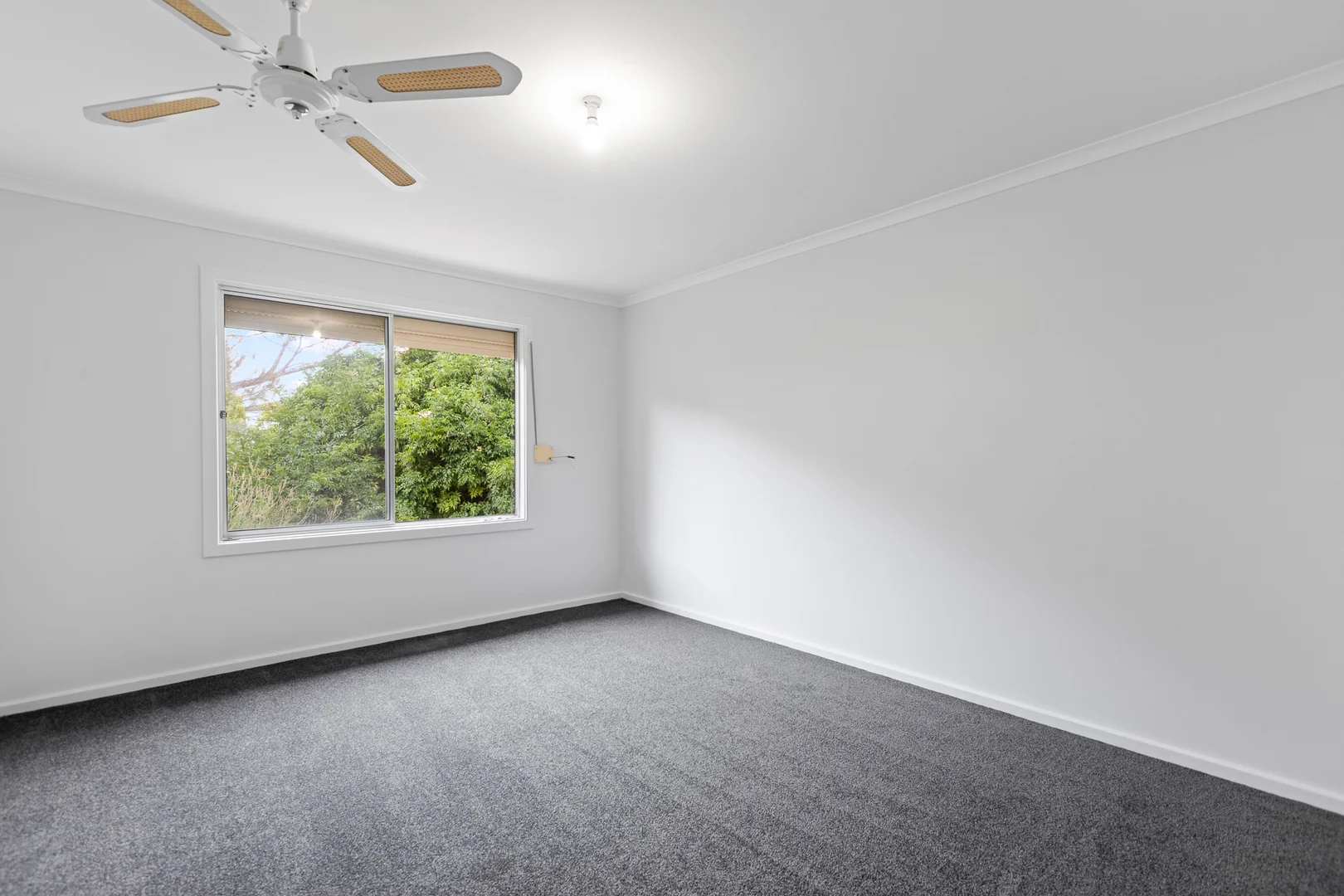 Additional image 10 of 5897 Flinders Highway, Coulta SA 5607