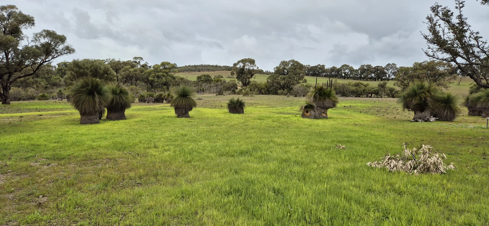 Additional image 6 of 197 Millbank Road, Cowalla WA 6503