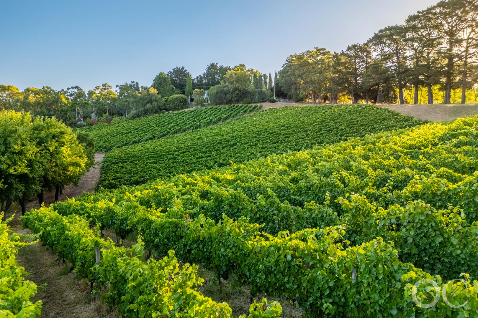 Additional image 2 of 143 Woods Hill Road, Ashton SA 5137