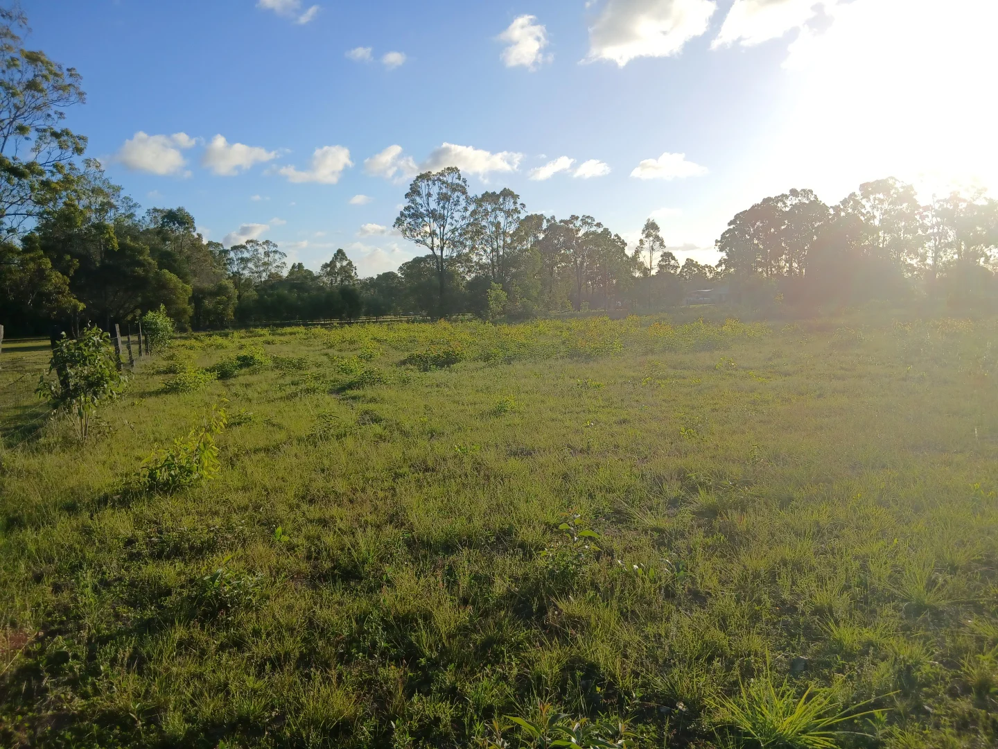 Additional image 8 of 139 (Lot 2) Moorabinda Drive, Sunshine Acres QLD 4655