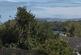 Additional image 15 of Treetops, Hill Street, Menai Bridge