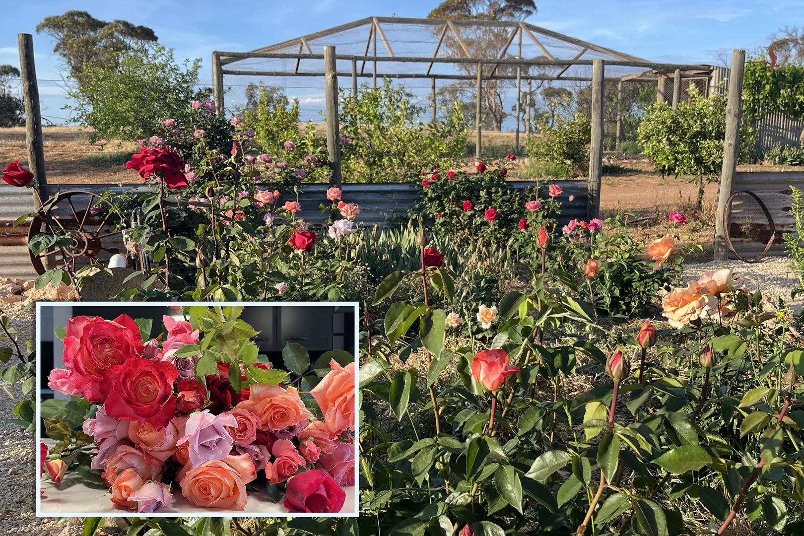 Additional image 26 of 484 Mindarie Road, Loxton SA 5333