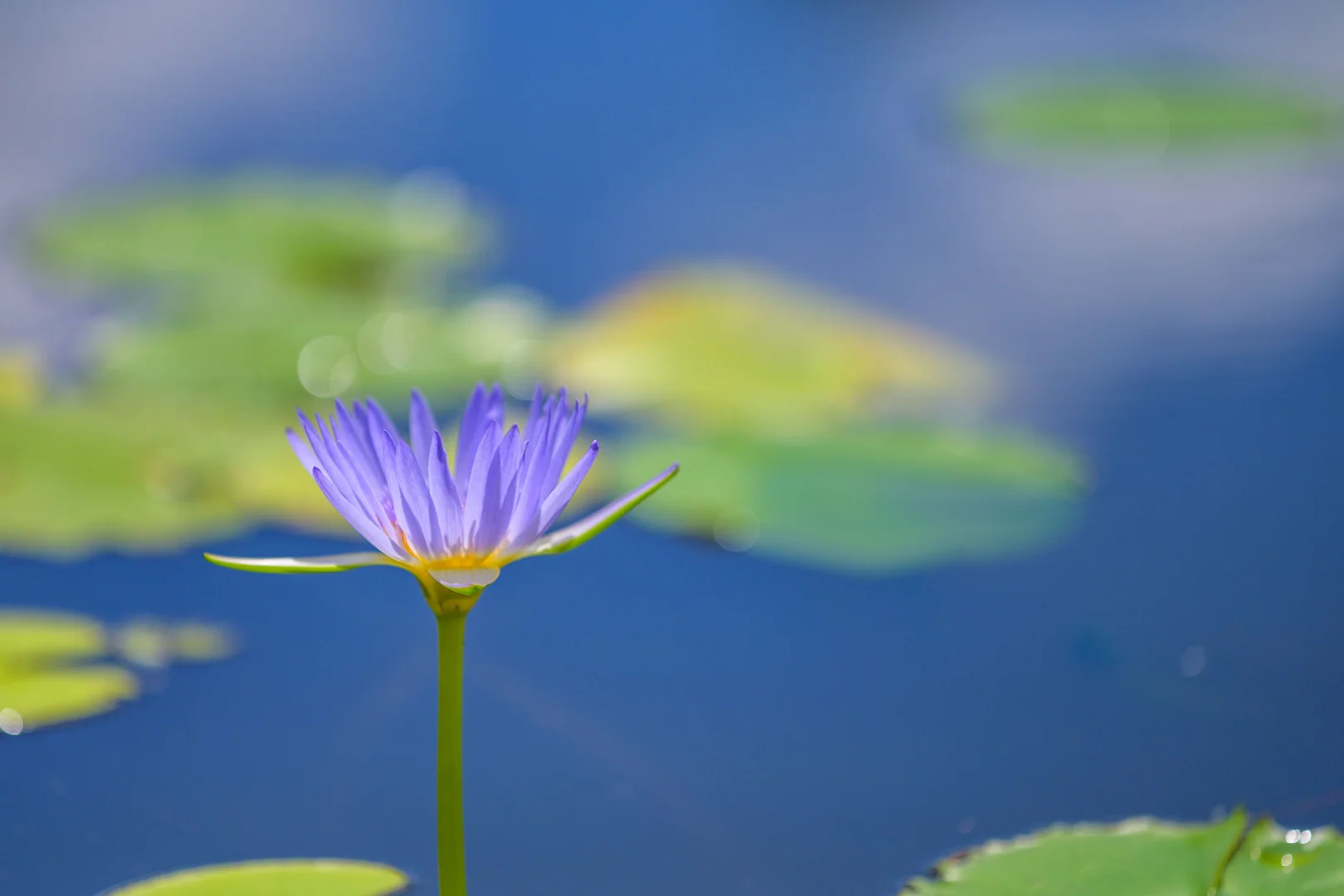 Additional image 24 of 47 Osborne Court, Wallu QLD 4570