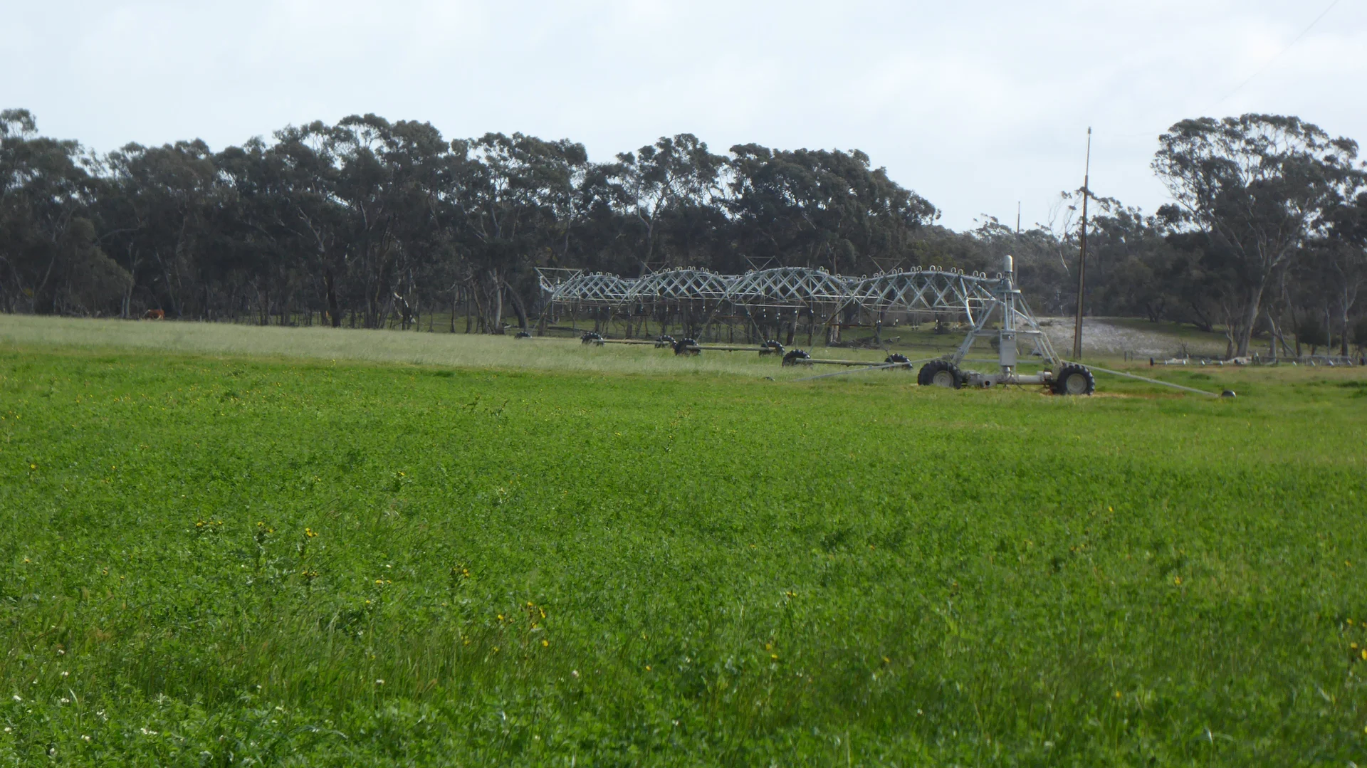 Additional image 21 of 2448 Bangham Road, Frances SA 5262