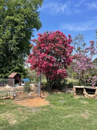 Additional image 26 of 1684 Diamantina Developmental Road, Charleville QLD 4470