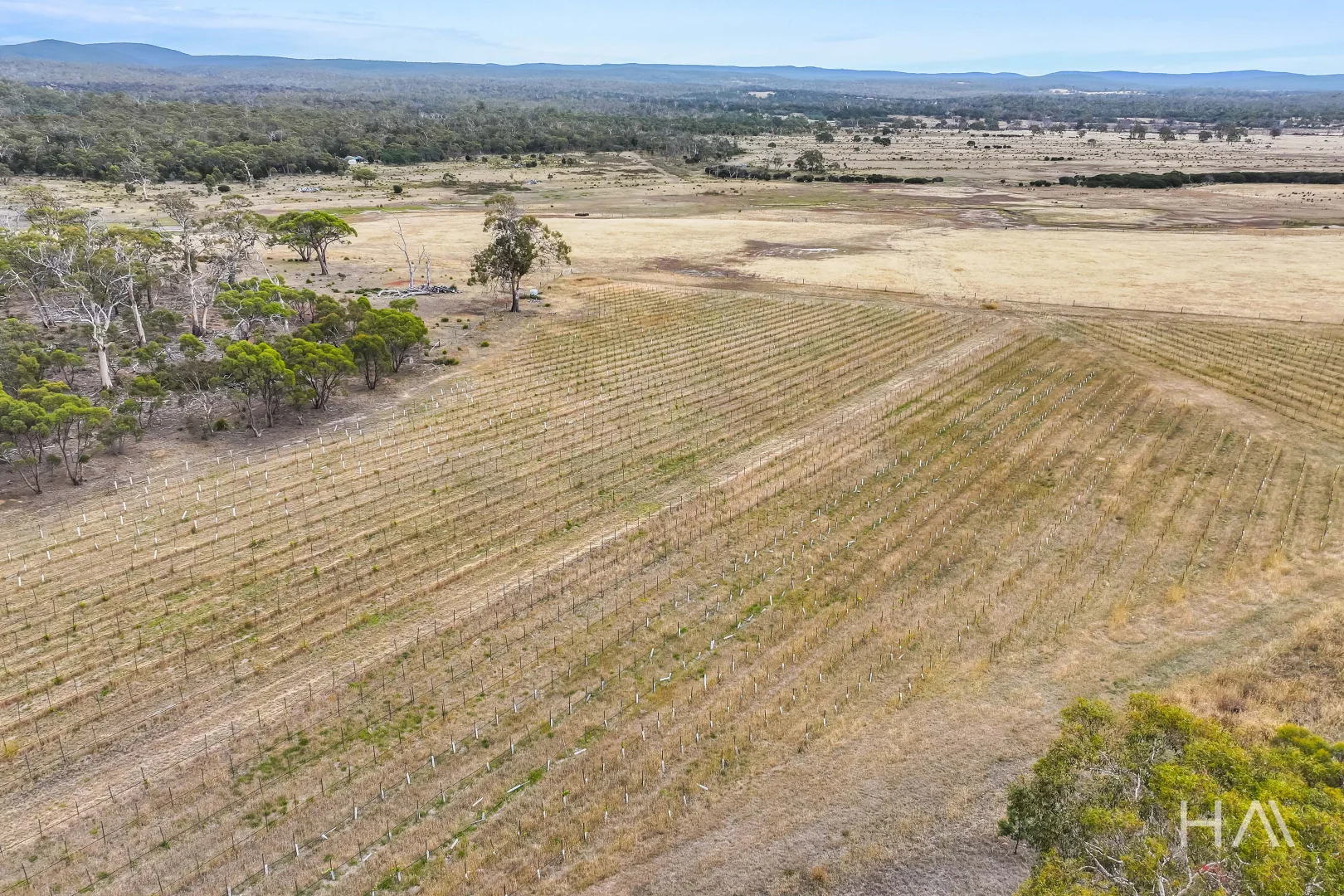 Additional image 8 of Lot 50 Springs Road, Swansea TAS 7190