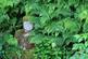 Additional image 54 of Llandysul, SA44