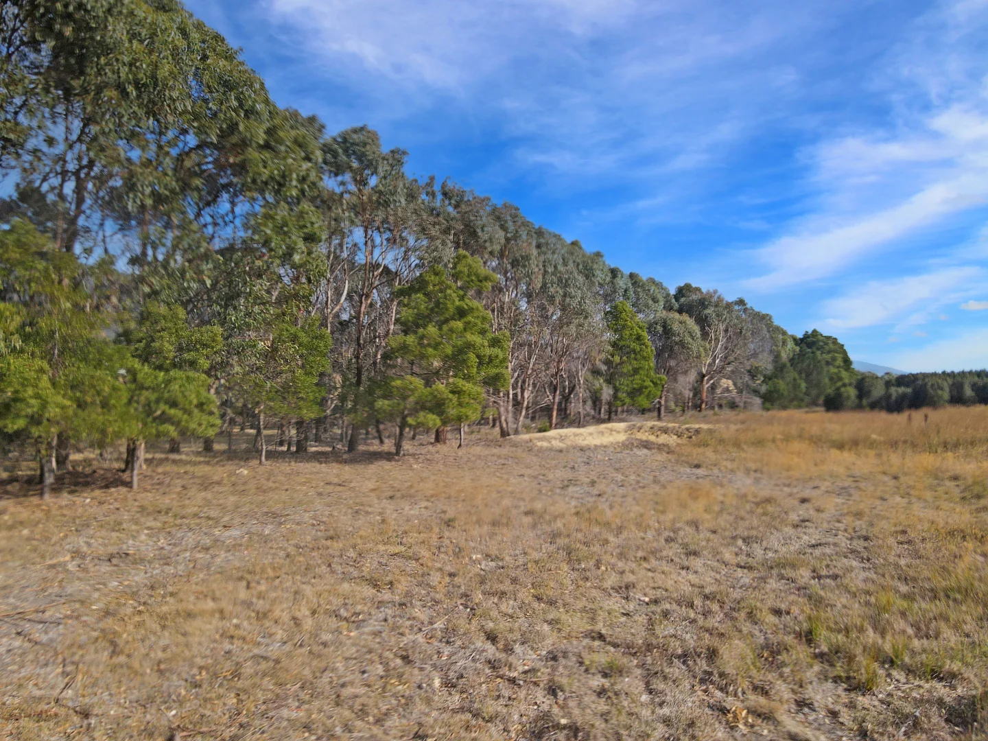 Additional image 4 of PID 2190215 Macquarie Street, Seymour TAS 7215