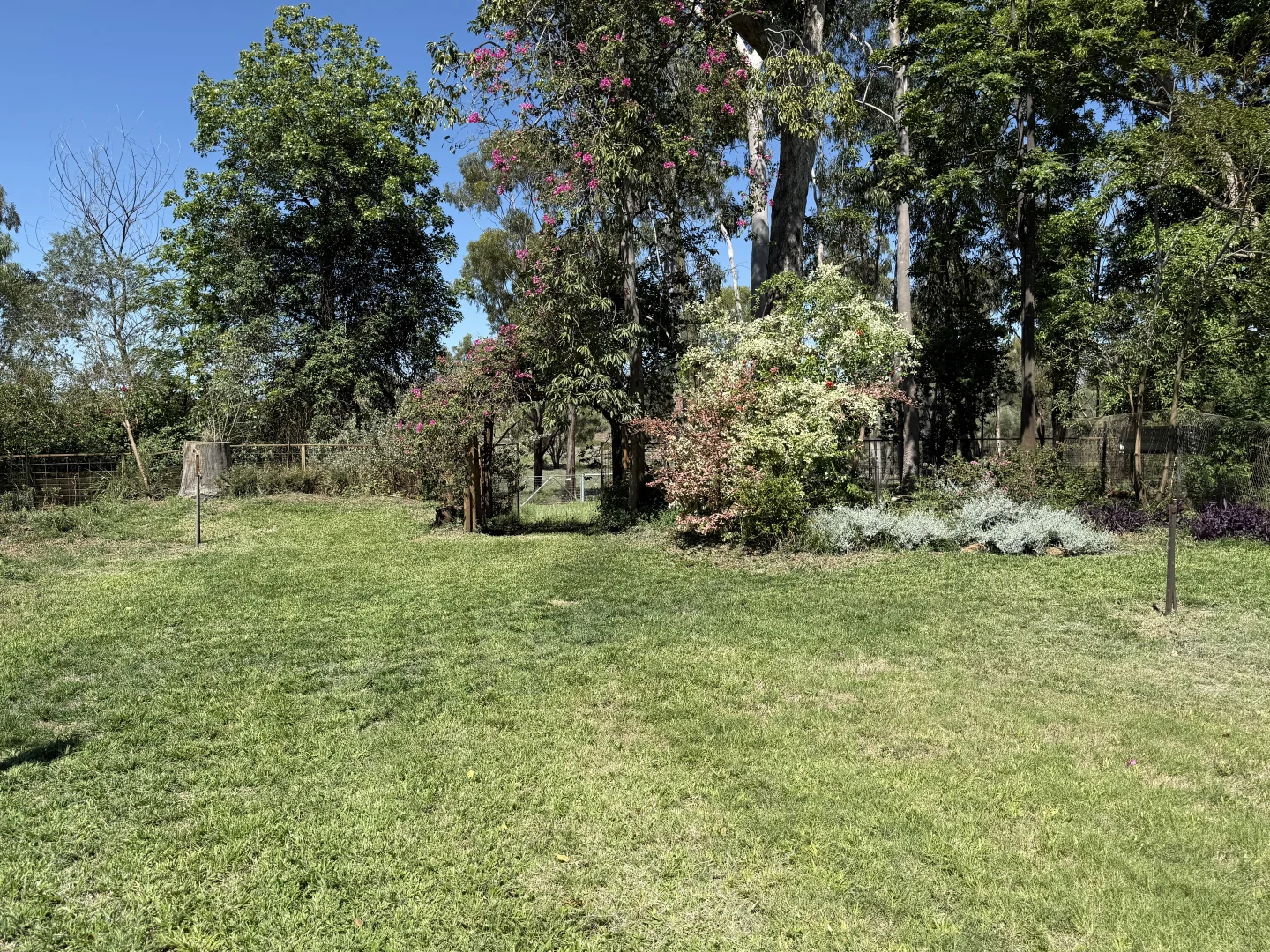 Additional image 23 of 1684 Diamantina Developmental Road, Charleville QLD 4470