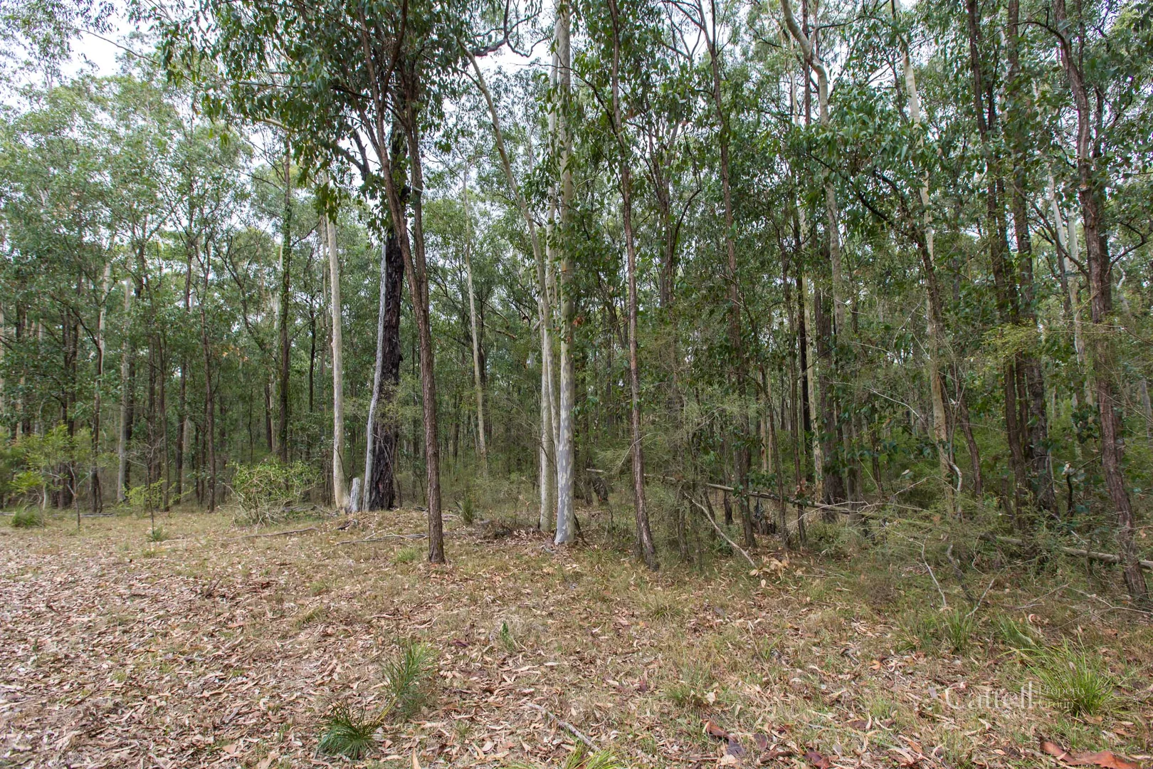 Additional image 13 of Lot 41 Bakers Lane, Sawyers Gully NSW 2326