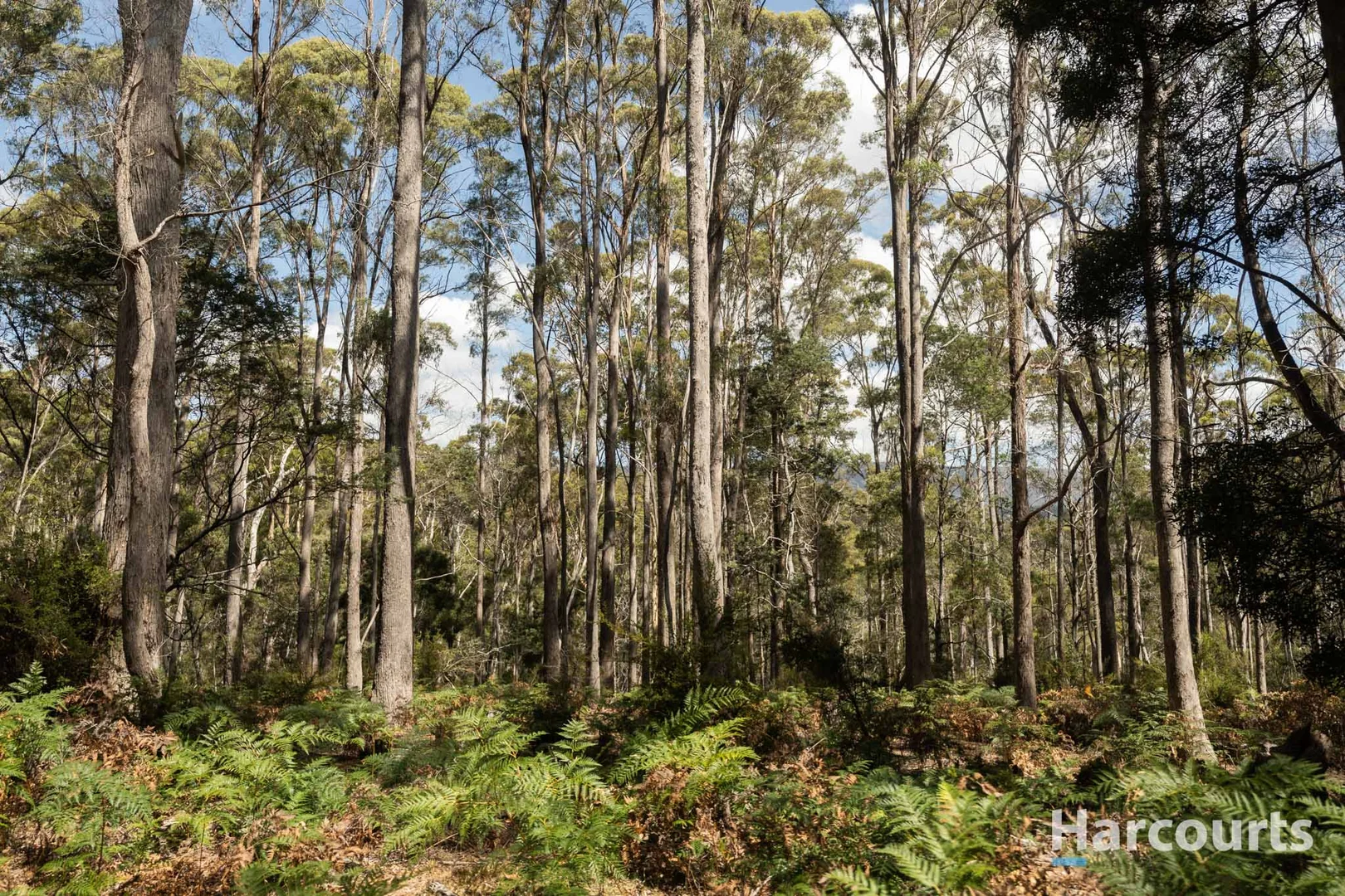 Additional image 4 of 46 Hawleys Lane, Weegena TAS 7304