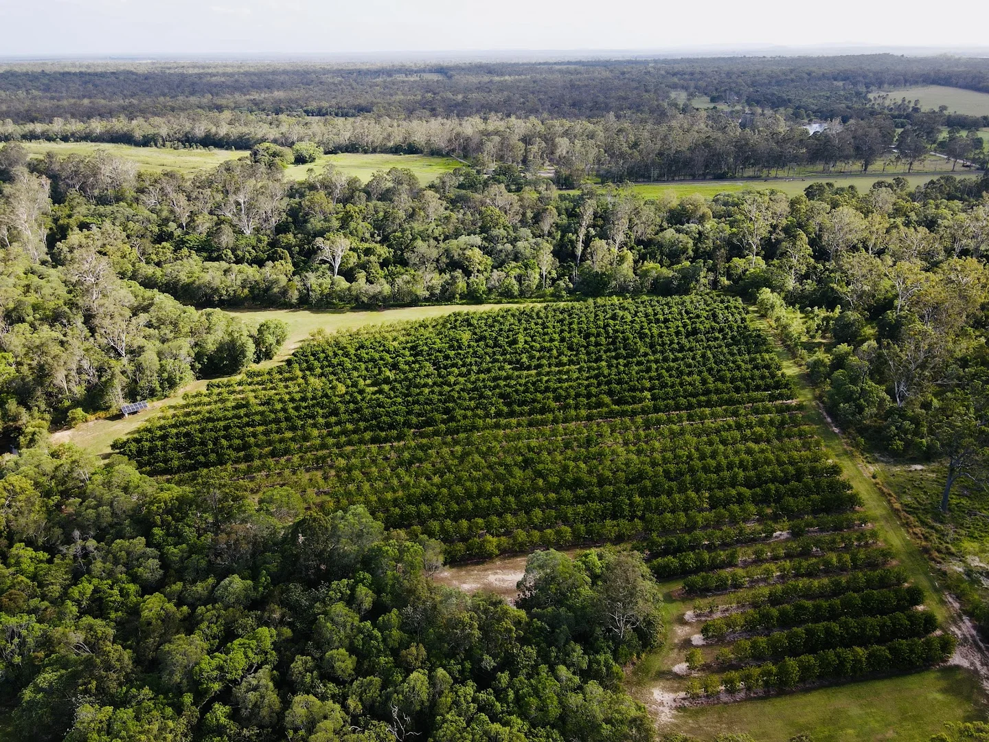 Additional image 11 of 40 Olivers Road, Goodwood QLD 4660