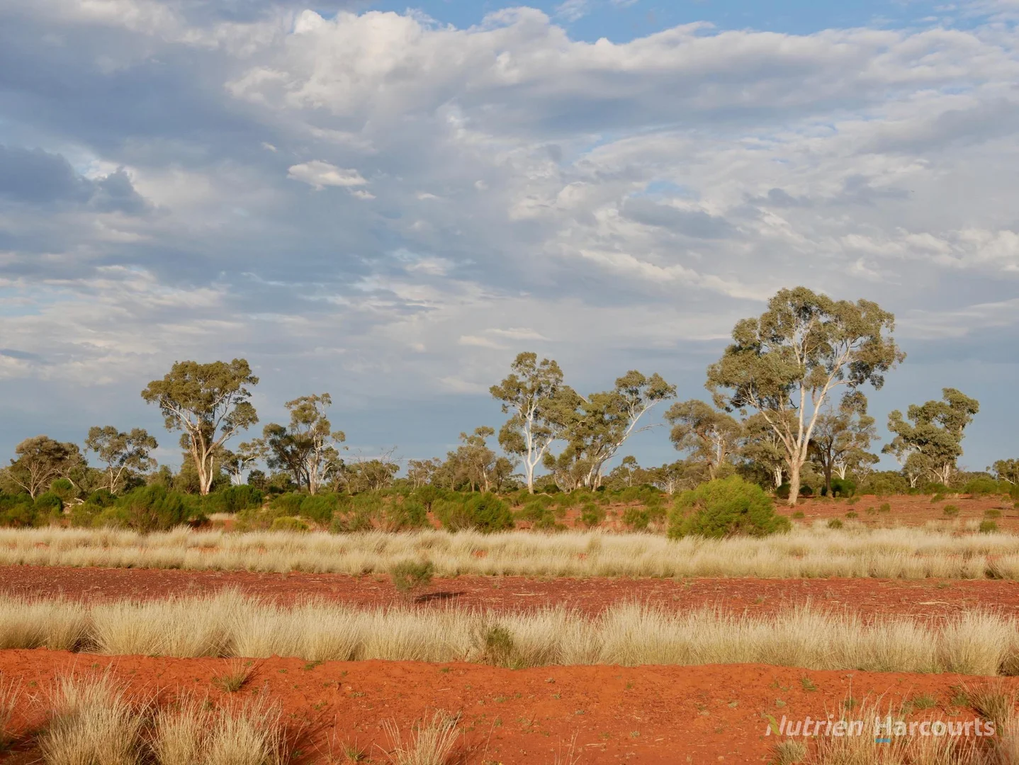 Additional image 4 of * Fairview Station, 2667 Mulya Road, Cobar NSW 2835
