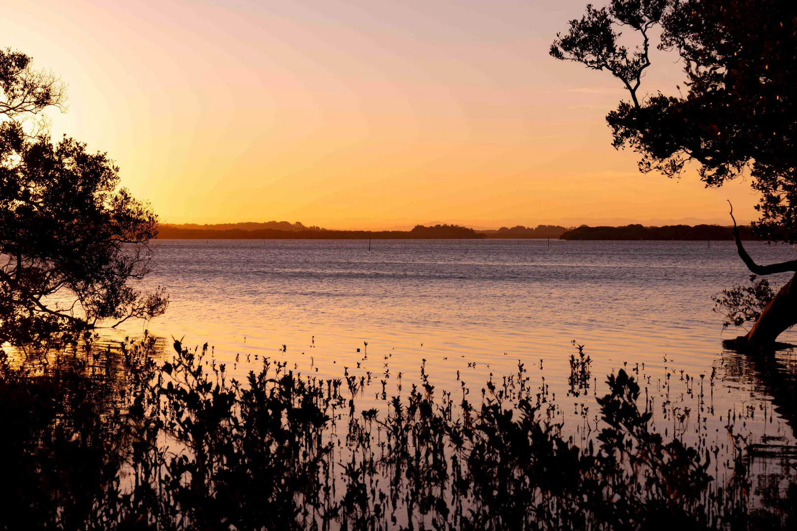 Additional image 4 of 43 Addison Road, Culburra Beach NSW 2540