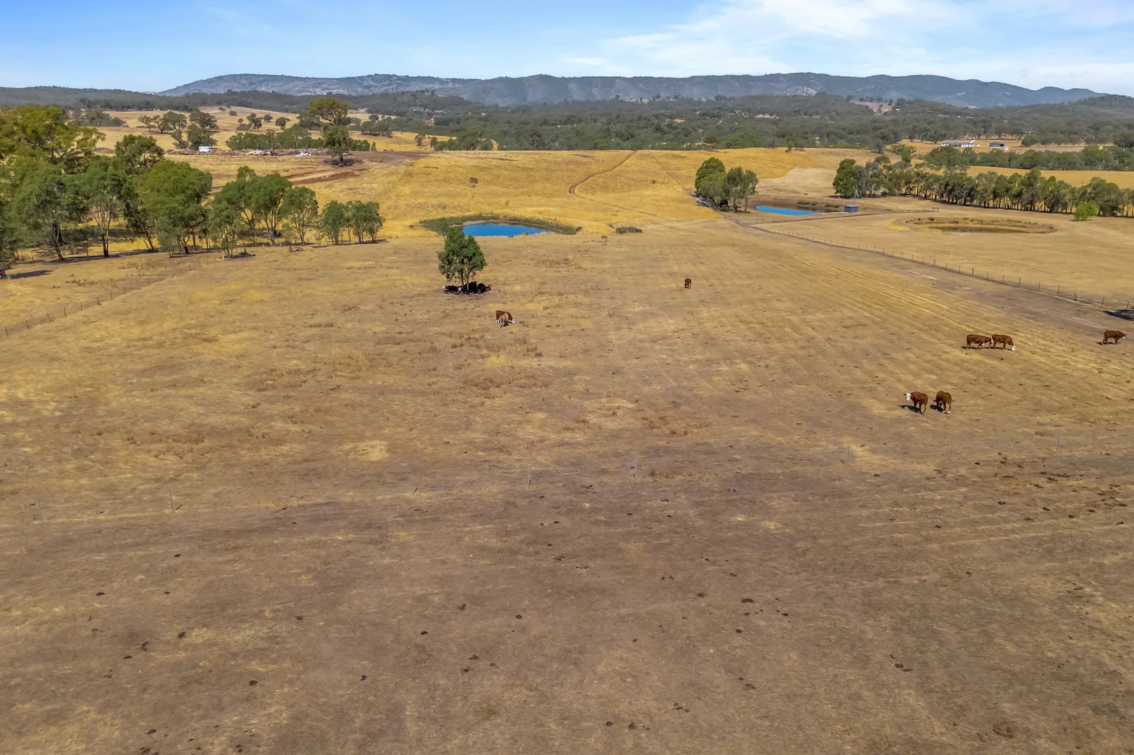 Additional image 16 of 70 Ashes Bridge Road, Tallarook VIC 3659