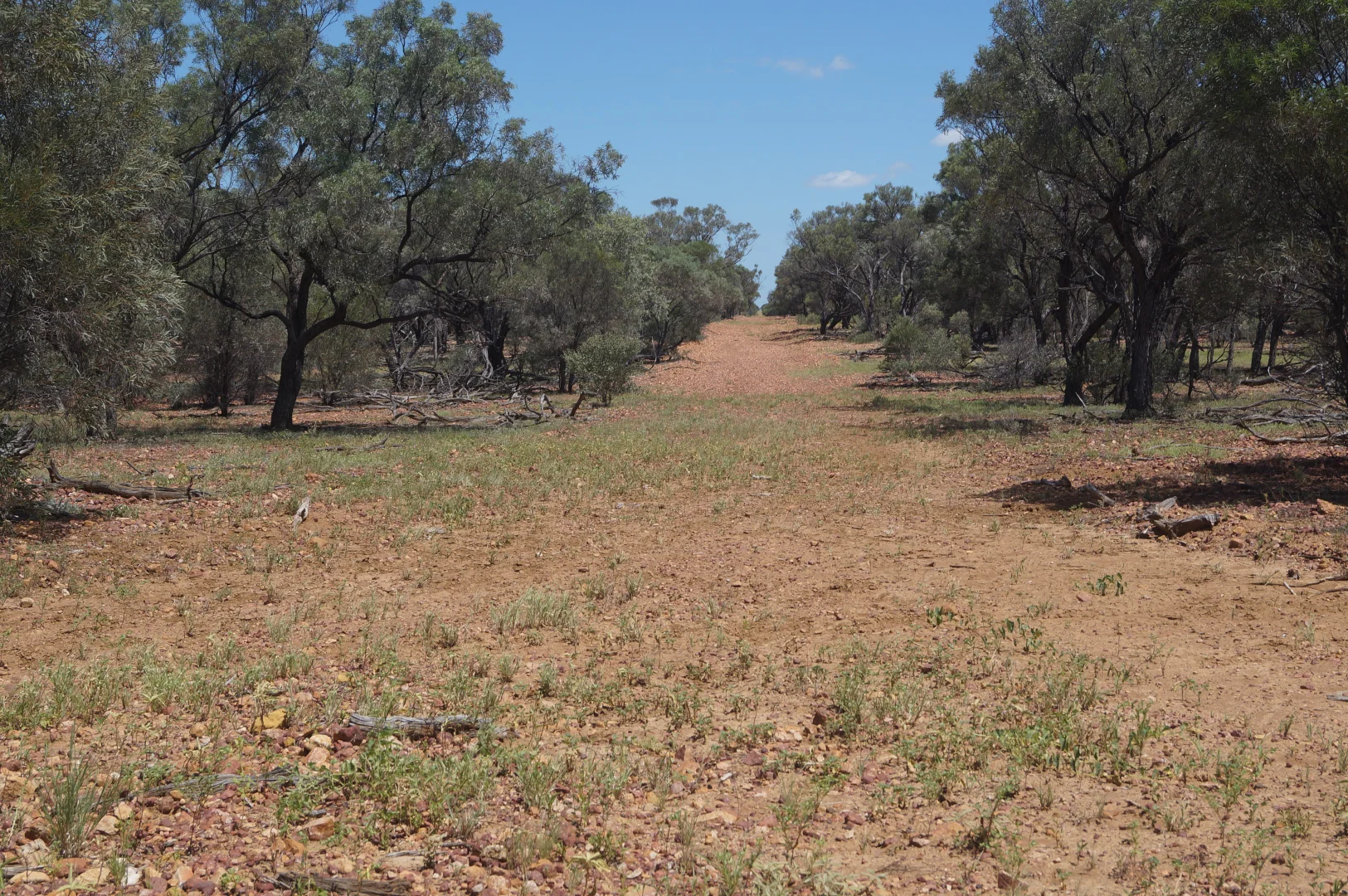 Additional image 17 of 1 Baratria Road, Longreach QLD 4730