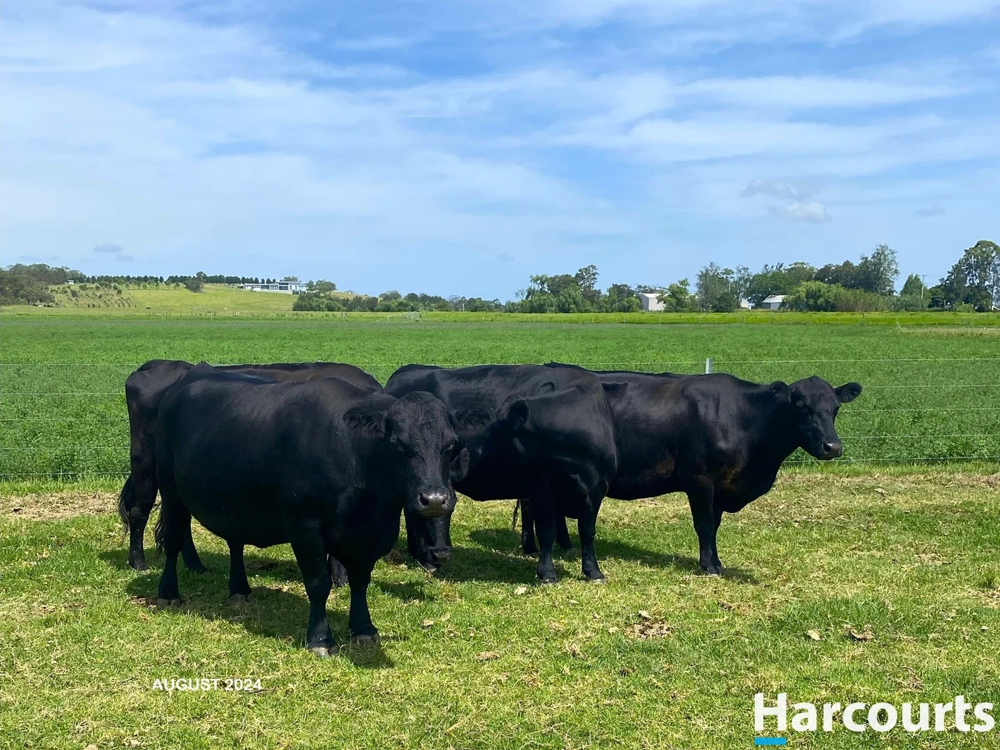 Additional image 22 of 34 Market Street, Hinton NSW 2321