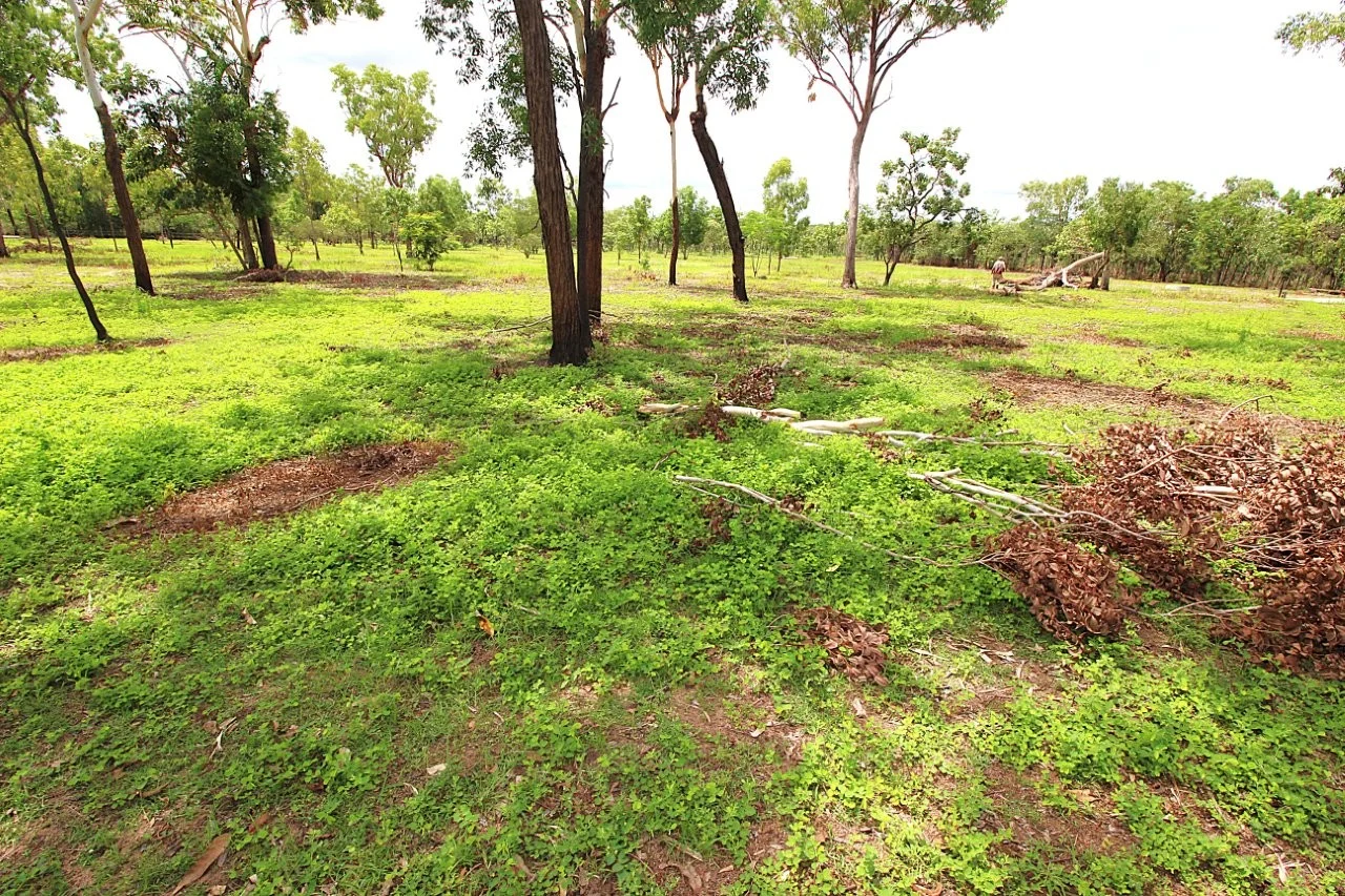 Additional image 20 of 162 Gonnerman Road, Humpty Doo NT 0836