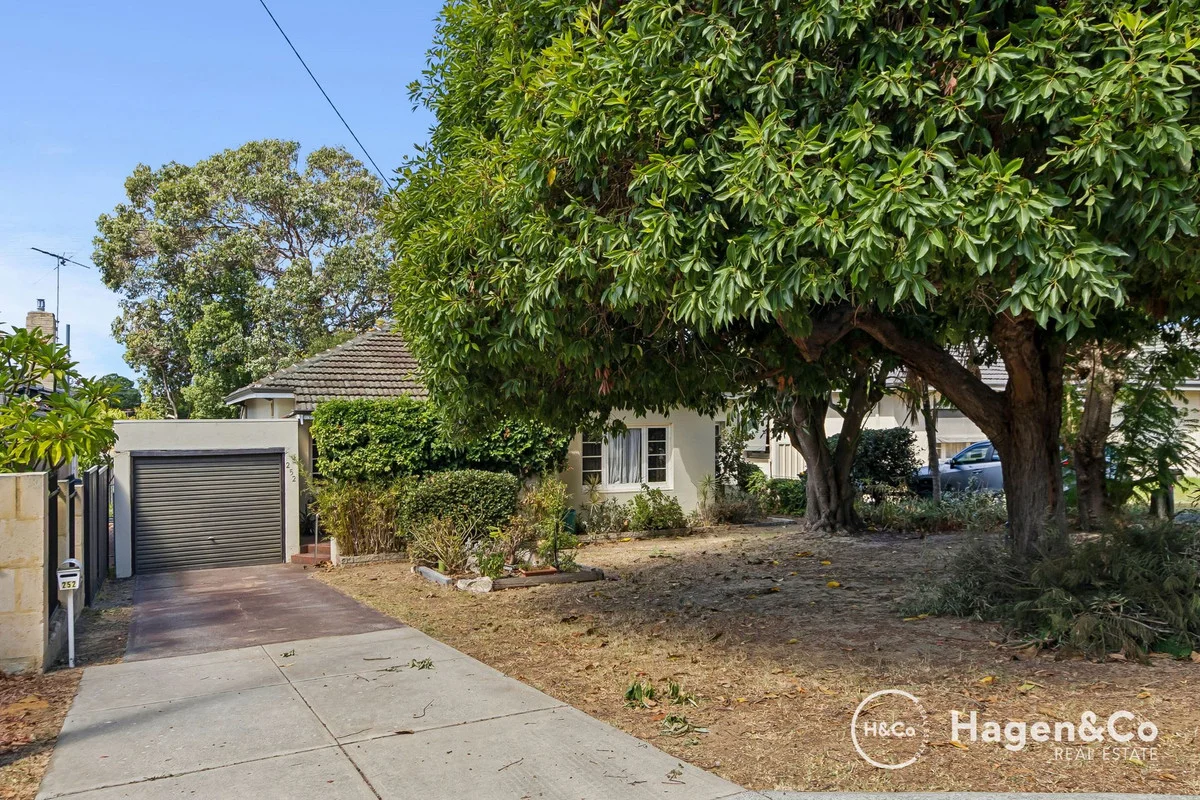 Additional image 24 of 252 Ravenscar Street, Doubleview WA 6018