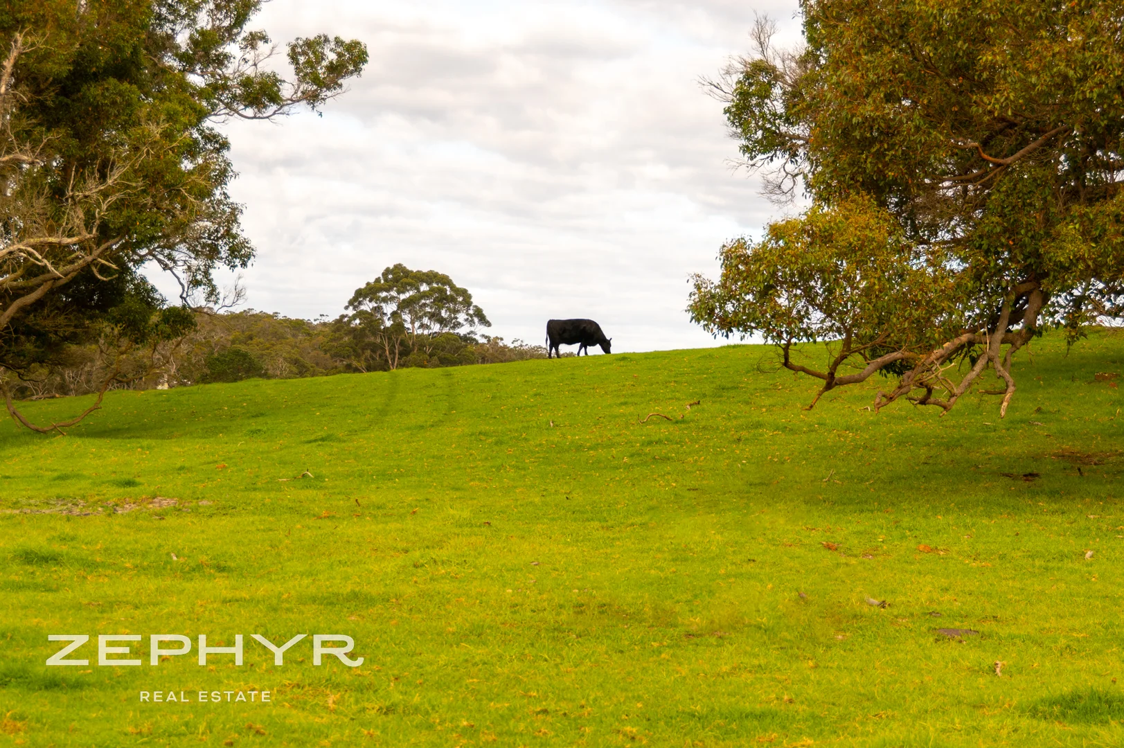 Additional image 29 of 927 Millbrook Road, Green Valley WA 6330