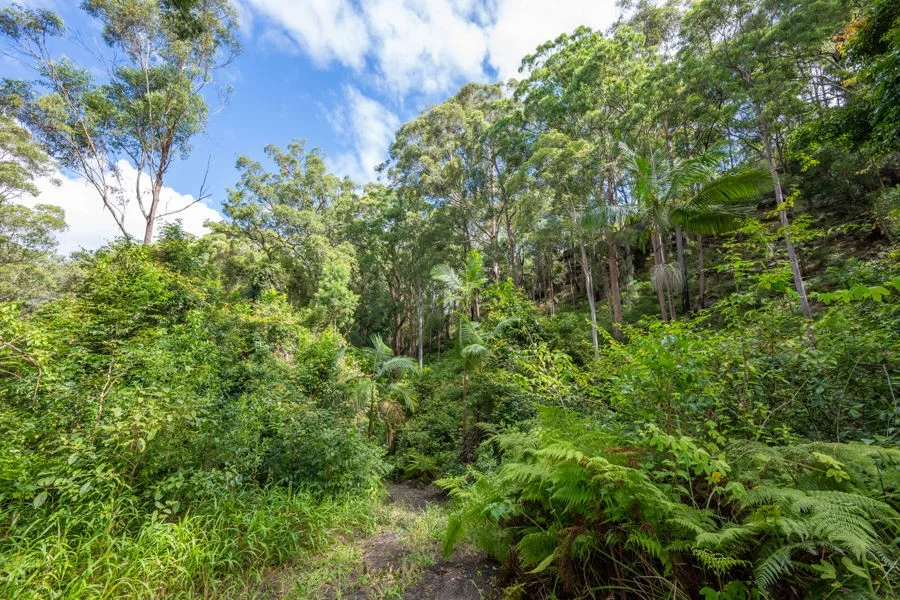 Additional image 5 of 1458 Sherwood Creek Road, Sherwood NSW 2450