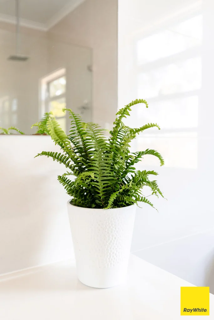 Additional image 17 of 625 Macs Reef Road, Bywong NSW 2621