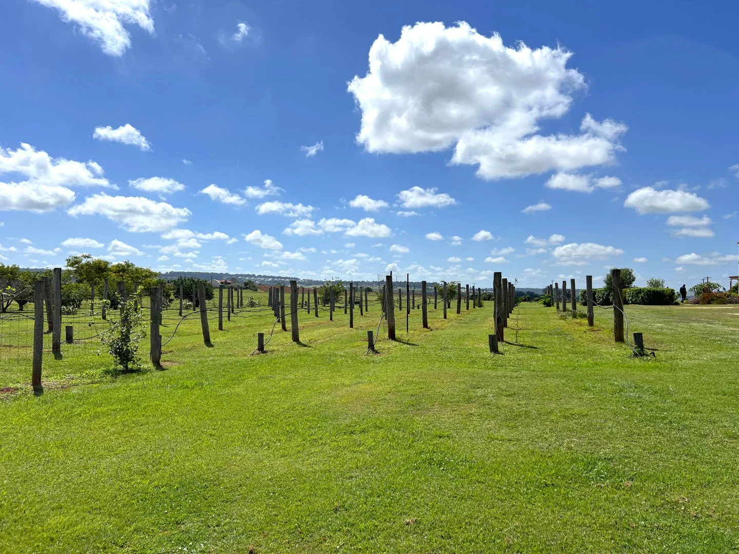 Additional image 33 of Lot 340 Weens Road, Kingaroy QLD 4610