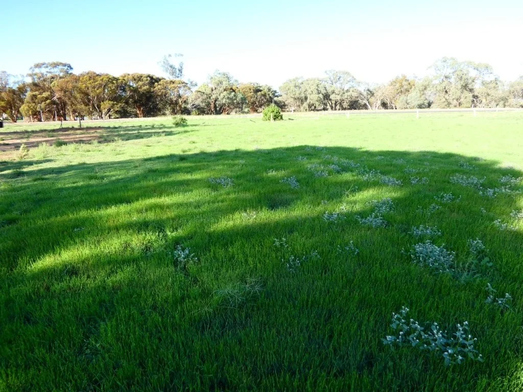 Additional image 4 of 45 Bell Street, Beulah VIC 3395