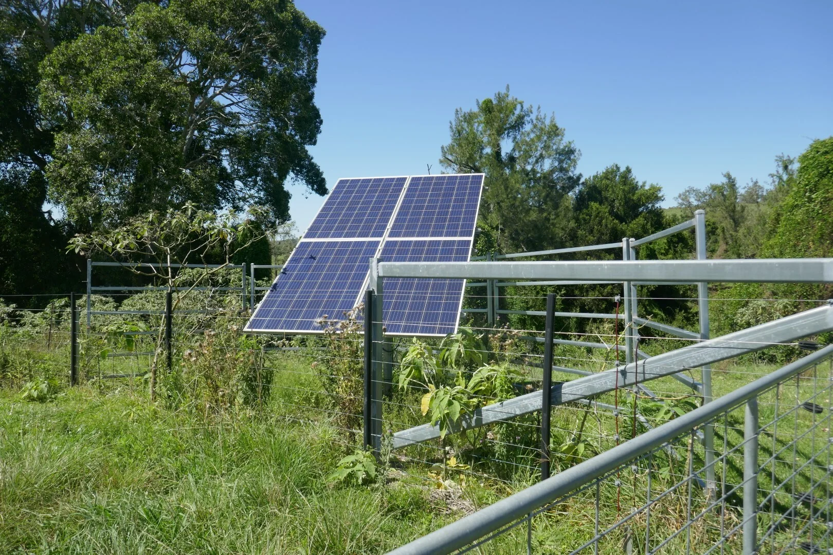 Additional image 28 of 258 Iron Pot Creek Rd, Ettrick NSW 2474