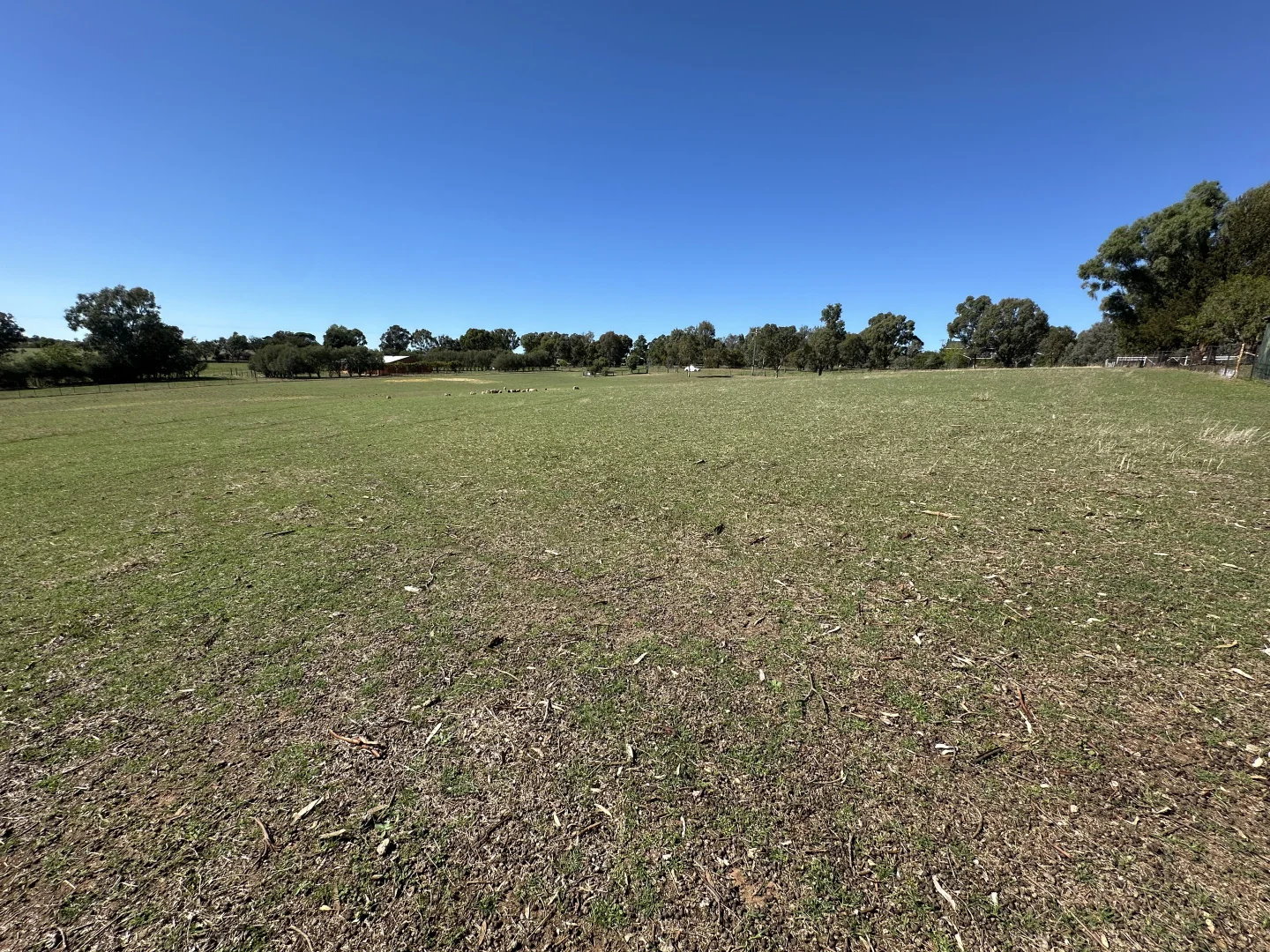 Additional image 7 of 236 East Street, Harden NSW 2587