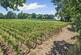 Additional image 6 of Astley, Stourport-on-Severn, Worcestershire