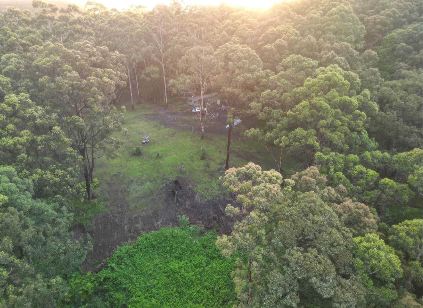 Additional image 16 of 1806 Gold Coast Springbrook Road, Springbrook QLD 4213