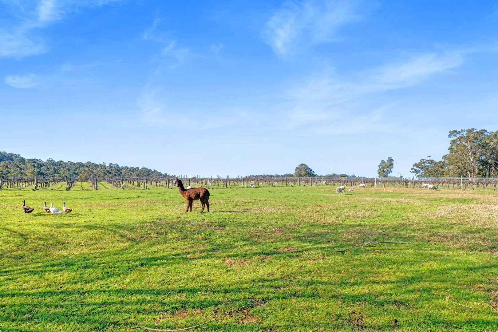 Additional image 26 of 807 Scotsdale Road, Denmark WA 6333